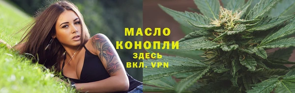 твердый Верхний Тагил