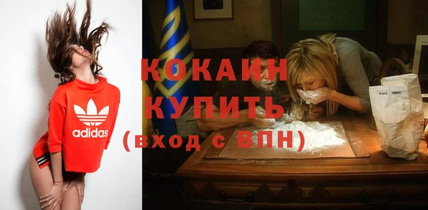 твердый Верхний Тагил