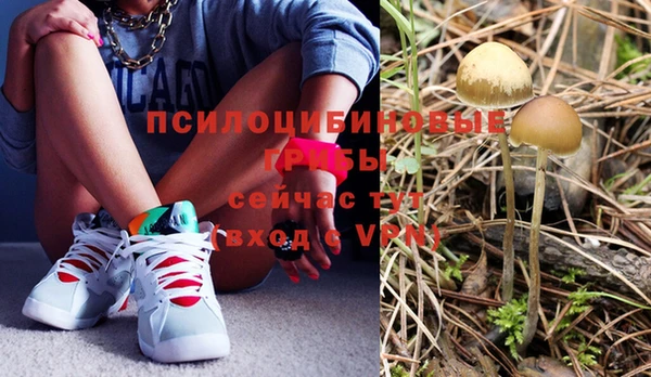 MESCALINE Верея
