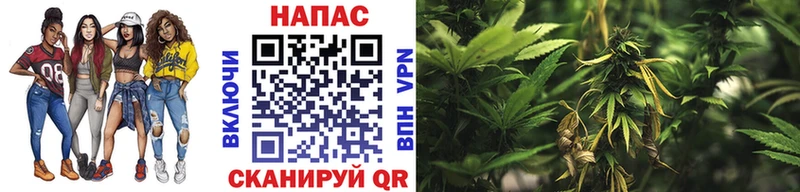 дарнет шоп Кострома Бошки Шишки VHQ
